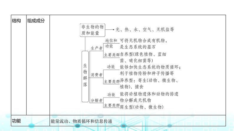 新高考生物总复习专题19生态系统及其稳定性、人与环境教学课件03