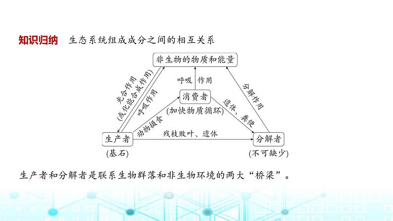 新高考生物总复习专题19生态系统及其稳定性、人与环境教学课件04