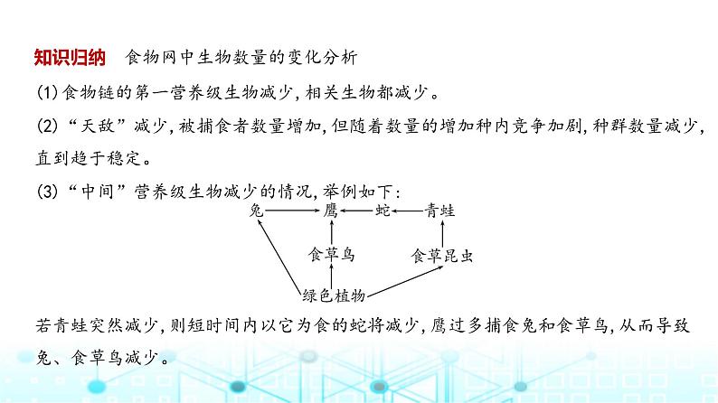 新高考生物总复习专题19生态系统及其稳定性、人与环境教学课件08