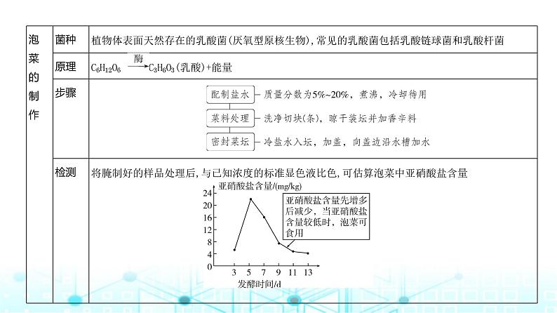 新高考生物总复习专题20发酵工程教学课件04