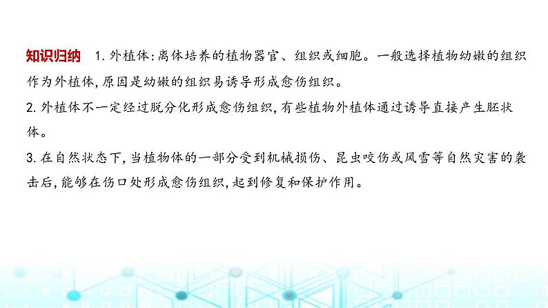 新高考生物总复习专题21细胞工程教学课件04