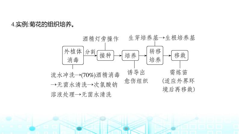 新高考生物总复习专题21细胞工程教学课件06