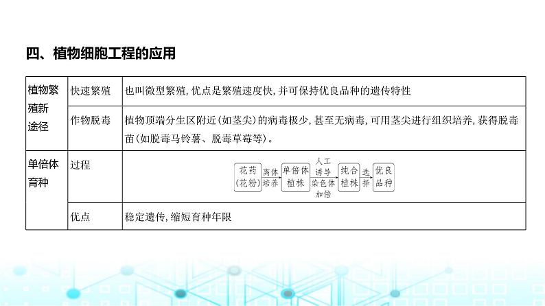 新高考生物总复习专题21细胞工程教学课件08