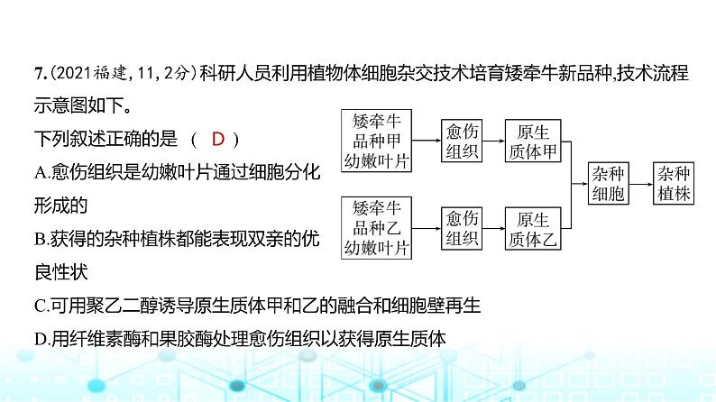 新高考生物总复习专题21细胞工程练习课件第8页