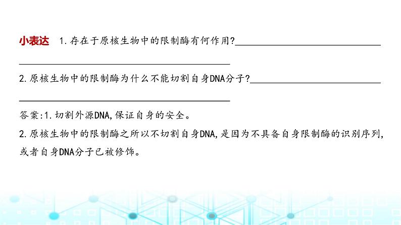 新高考生物总复习专题22基因工程教学课件03