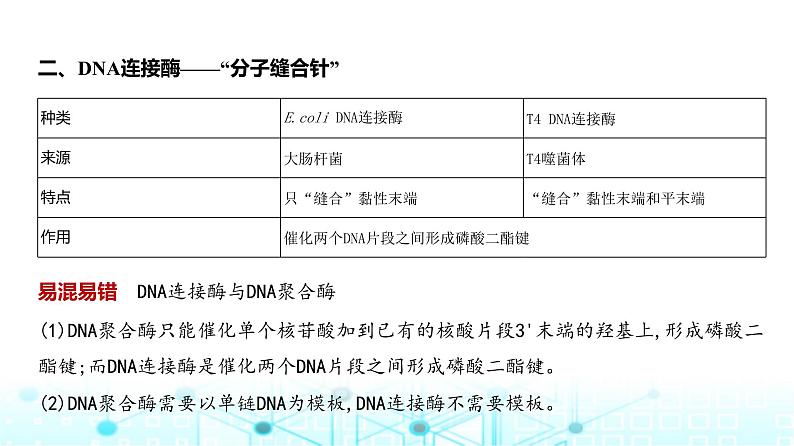 新高考生物总复习专题22基因工程教学课件04