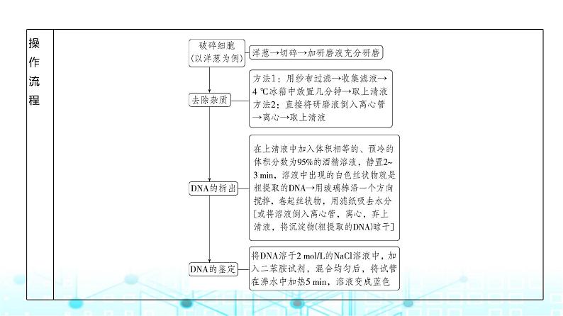 新高考生物总复习专题22基因工程教学课件07