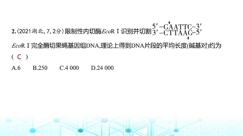 新高考生物总复习专题22基因工程练习课件03