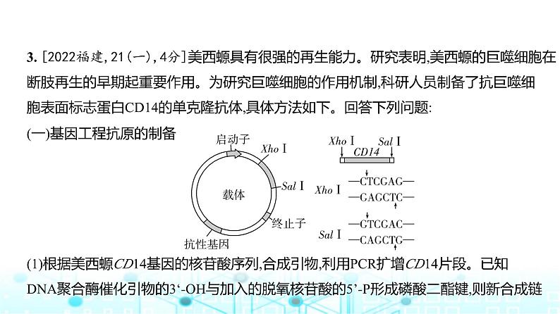 新高考生物总复习专题22基因工程练习课件04