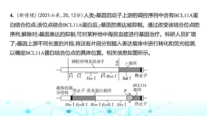 新高考生物总复习专题22基因工程练习课件06