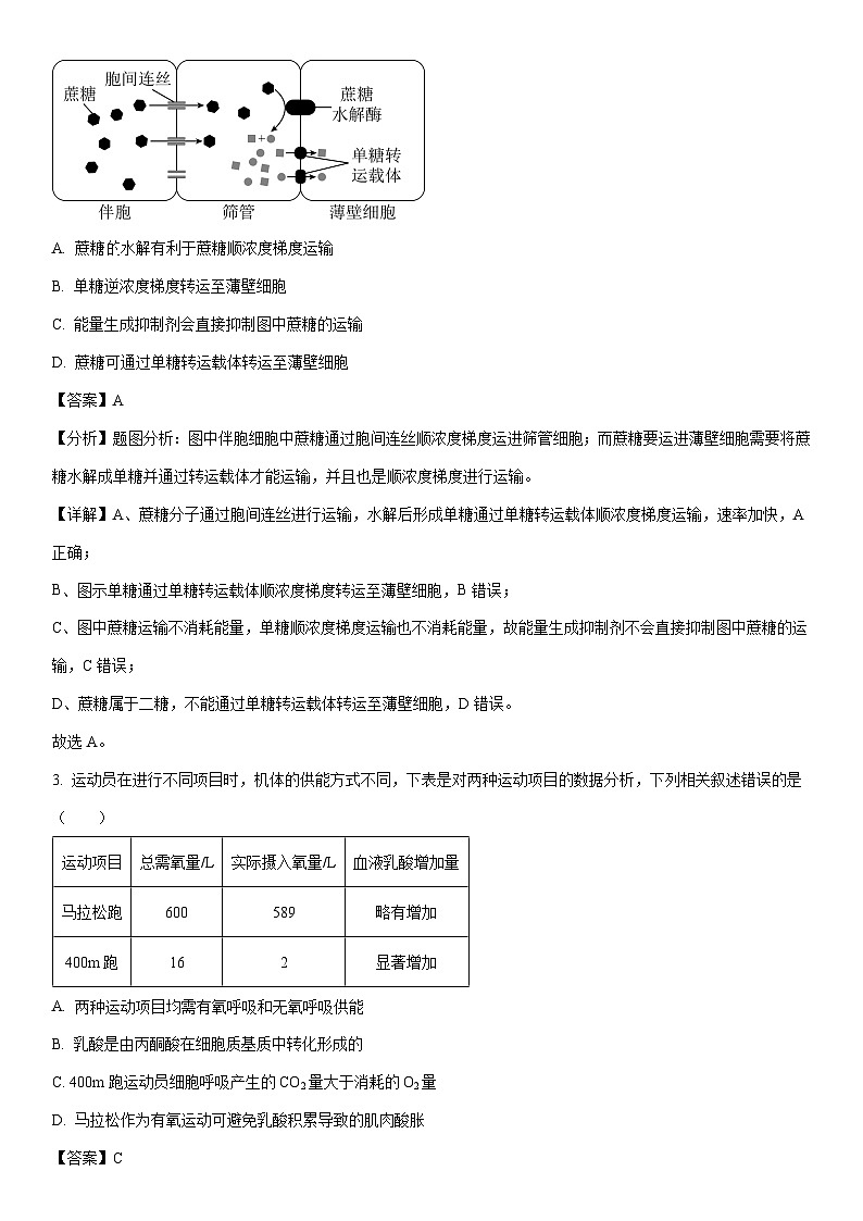 [生物][期末]湖南省娄底市涟源市2023-2024学年高一下学期期末试题(解析版)02