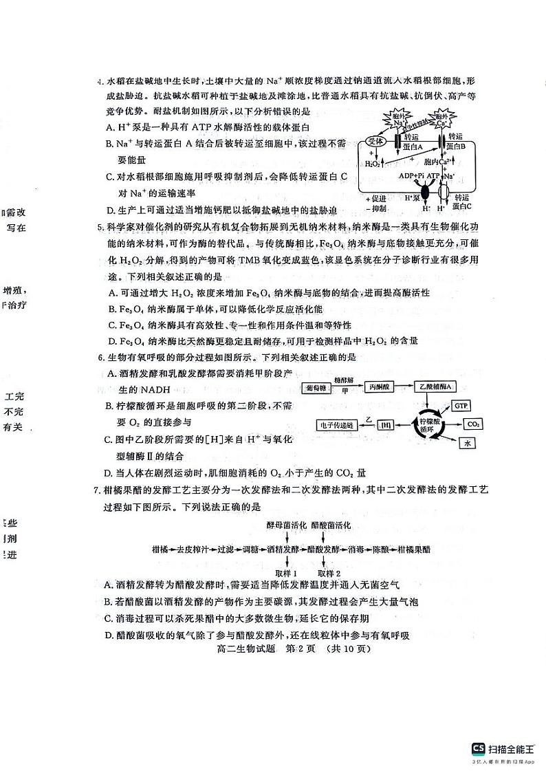 生物-山东省济南市2025届高二下学期期末考试生物试题和答案02