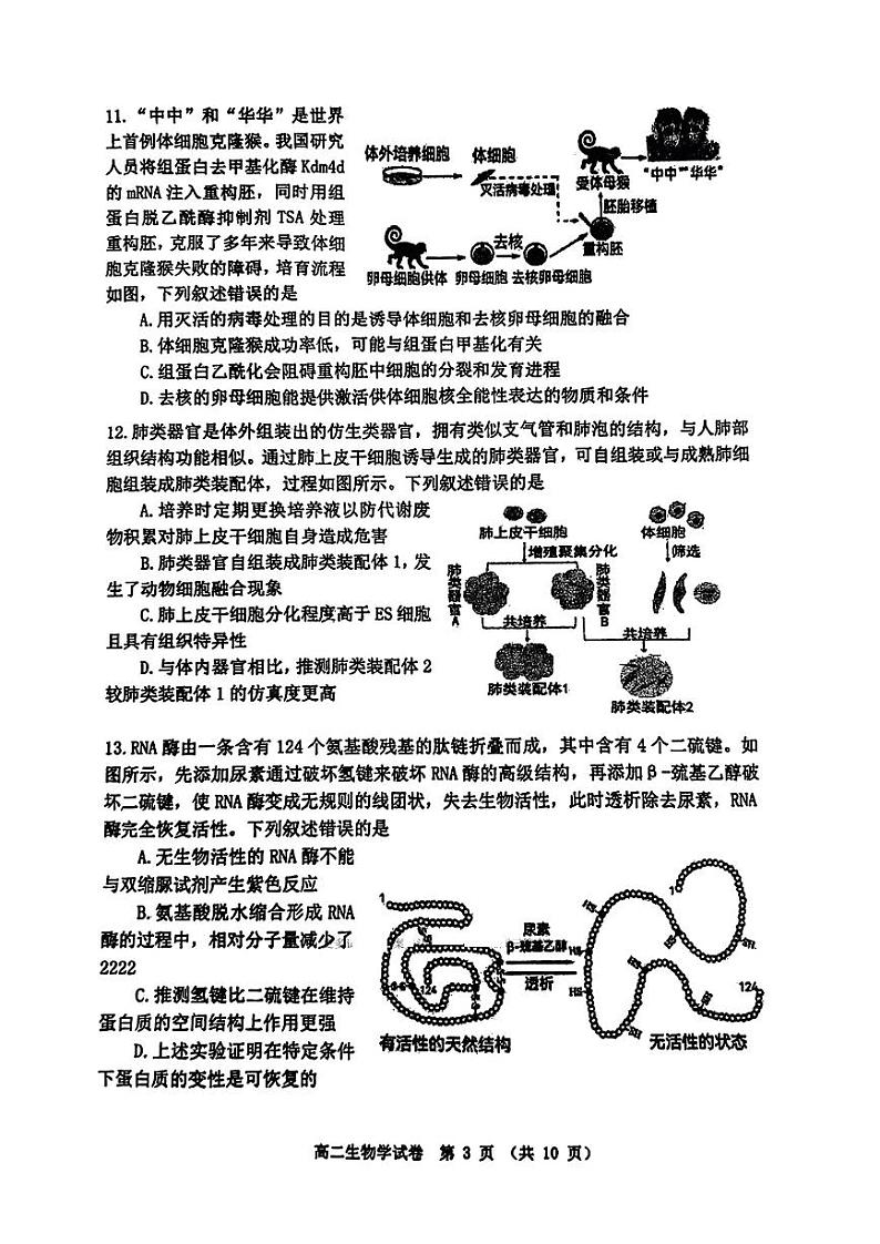 辽宁省大连市2023-2024学年高二下学期期末考试生物学试题03