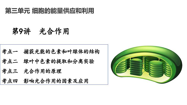 2025届高考生物一轮复习课件：光合作用第1页