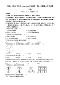 安徽省马鞍山中加双语学校2022-2023学年高一下学期期末考试生物试题