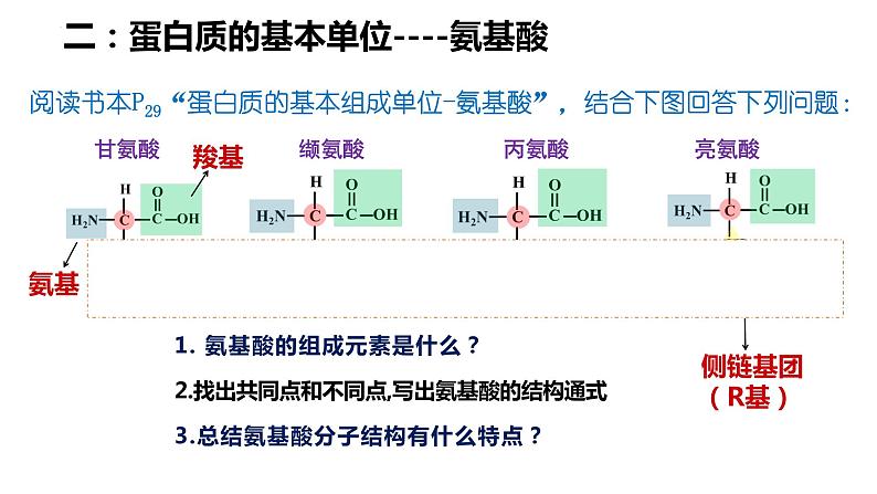 人教版（2019）高中生物必修一第二章第4节 蛋白质是生命活动的主要承担者-课件第7页