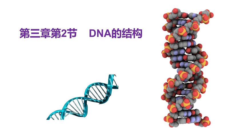 人教版（2019）高中生物必修二第三章第2节 课件+教学设计+习题+课堂实录01