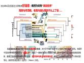 人教版（2019）高中生物必修二第三章第2节 课件+教学设计+习题+课堂实录