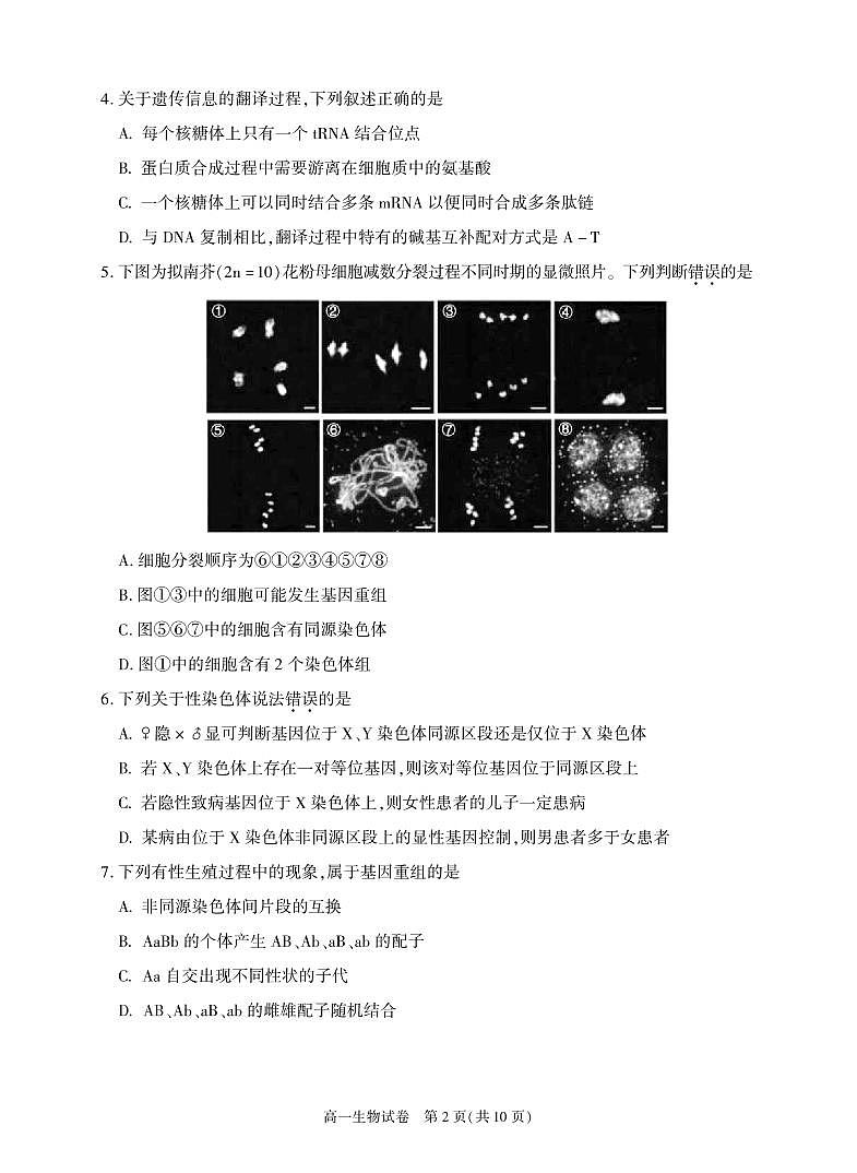 北京朝阳2023-2024高一下学期期末生物试卷及答案02