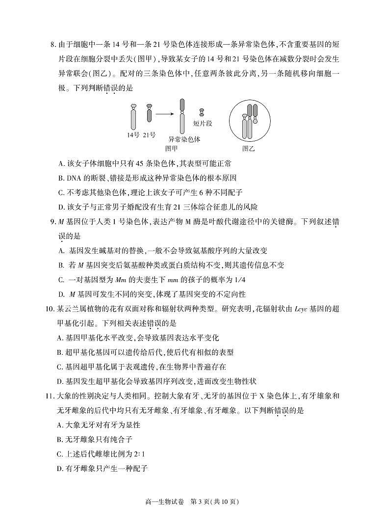 北京朝阳2023-2024高一下学期期末生物试卷及答案03