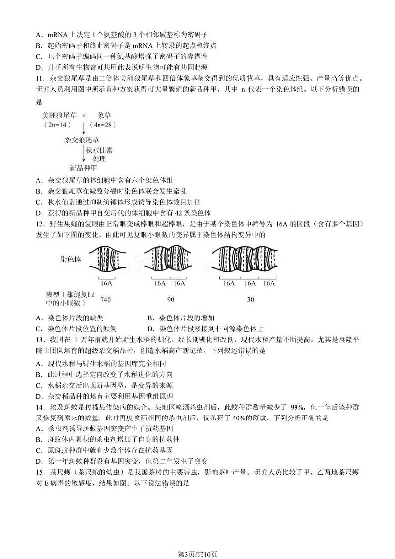 北京东城2023-2024高一下学期期末生物试卷及答案03