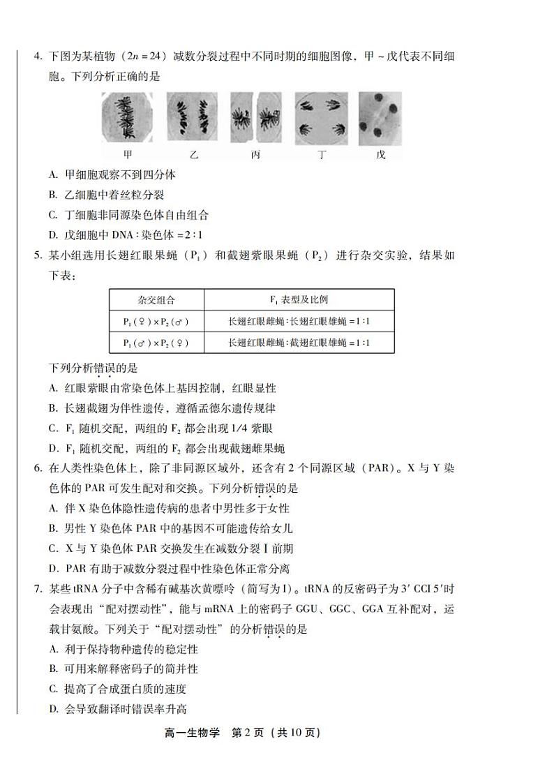 北京丰台2023-2024高一下学期期末生物试卷及答案第2页