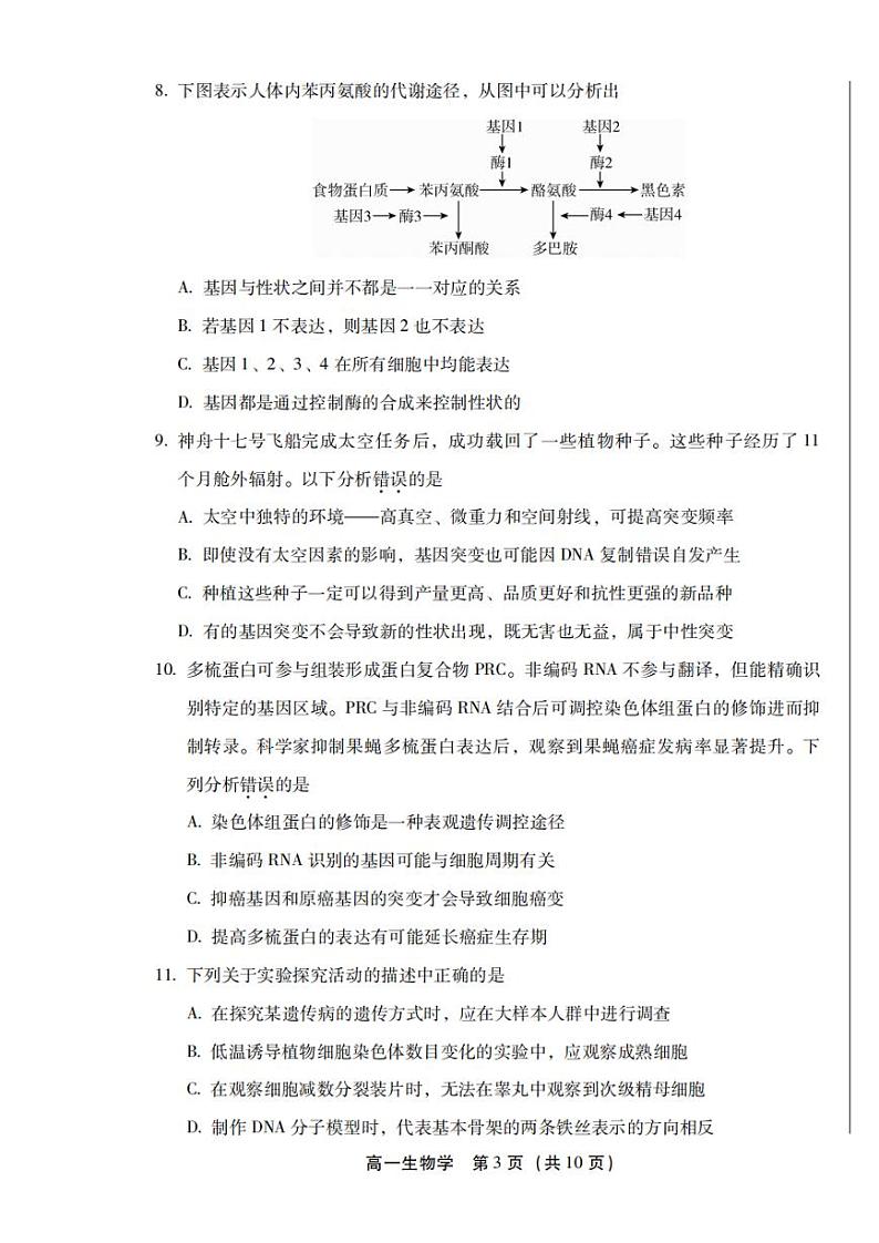 北京丰台2023-2024高一下学期期末生物试卷及答案第3页