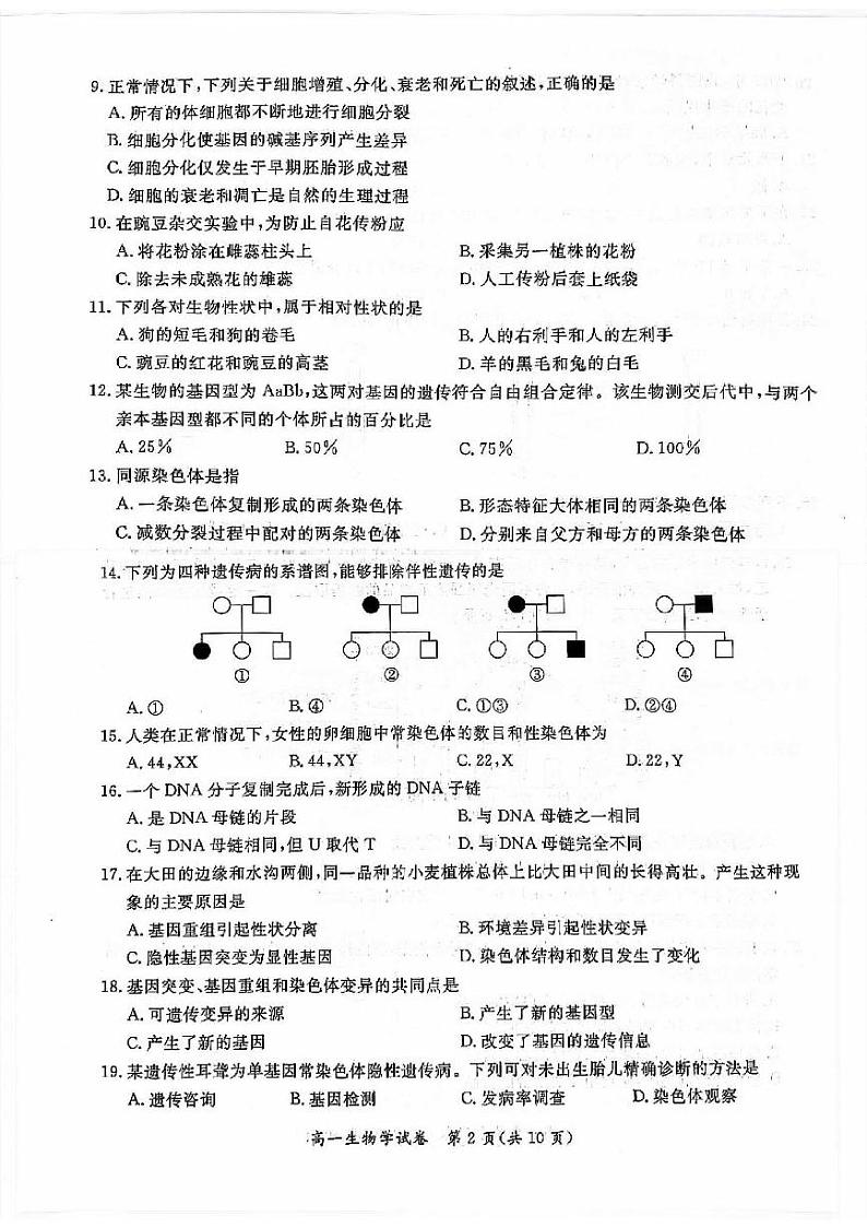 北京通州2023-2024高一下学期期末生物试卷及答案第2页
