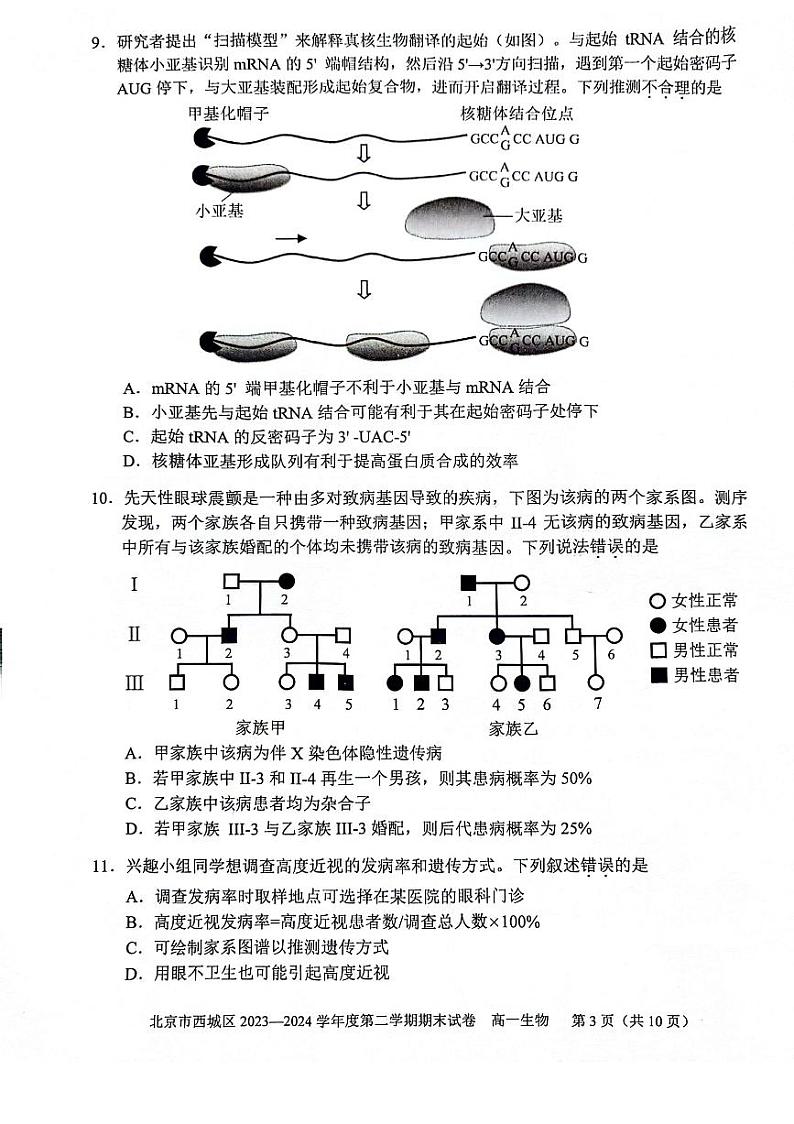 北京西城2023-2024高一下学期期末生物试卷及答案第3页
