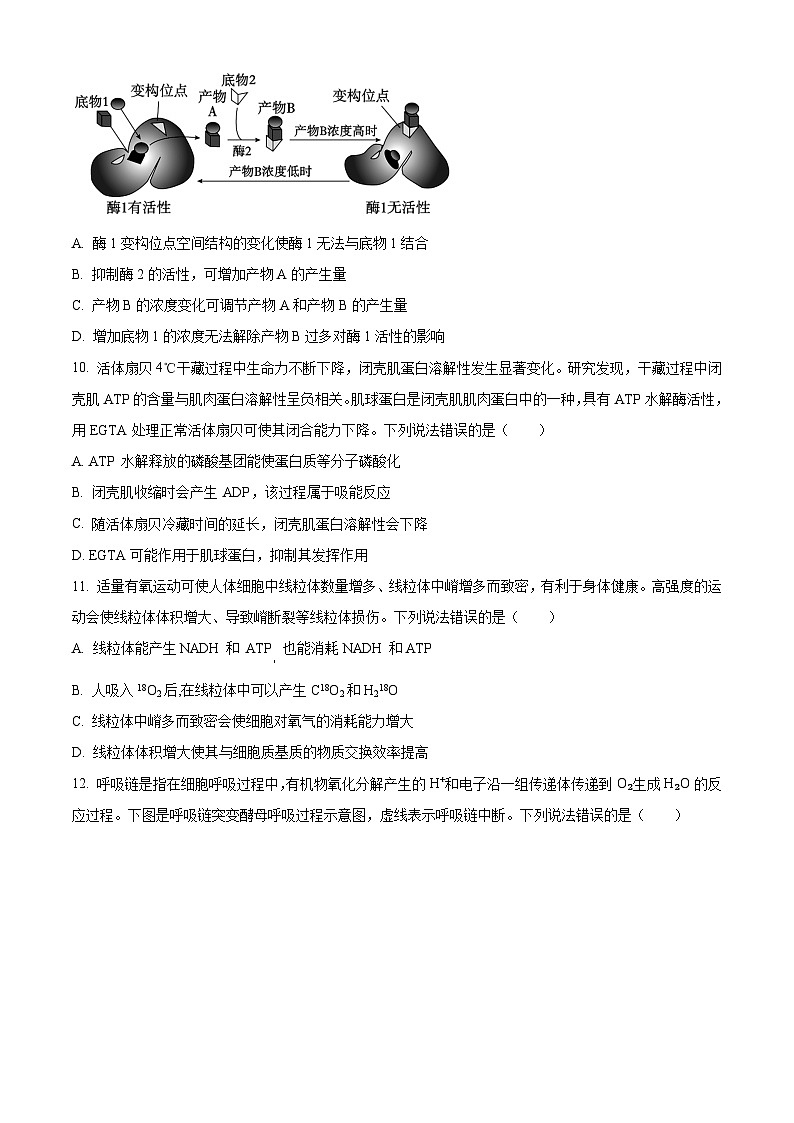 山东省烟台市2023-2024学年高二下学期7月期末考试生物试题（Word版附解析）03