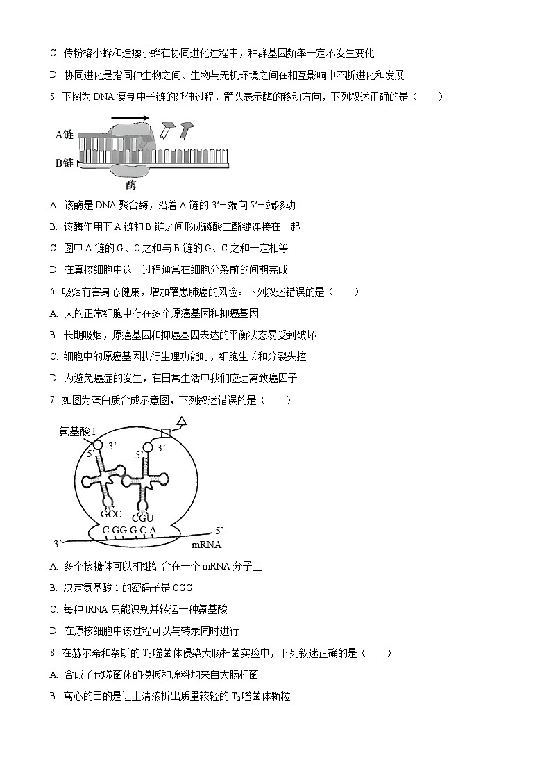 福建省厦门市2023-2024学年高一下学期7月期末考试生物试题（Word版附解析）第2页