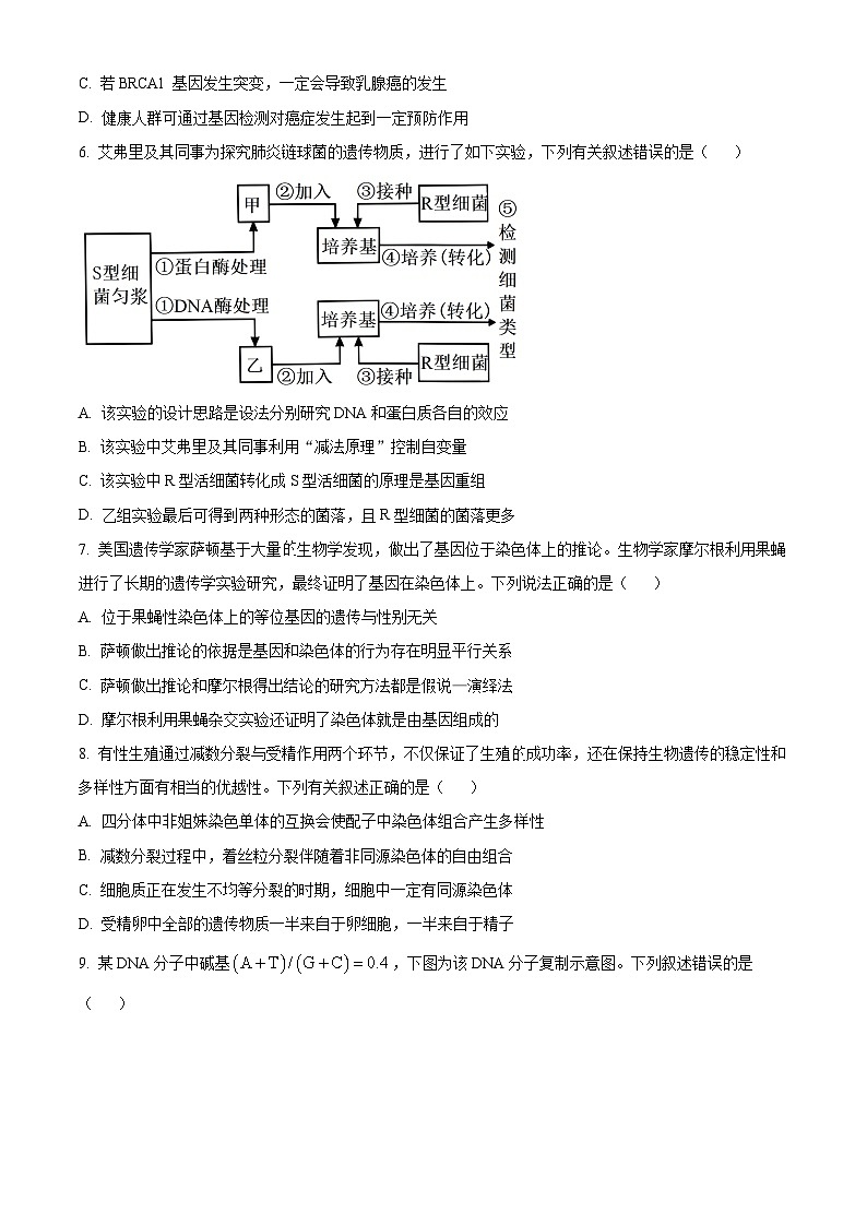 福建省龙岩市2023-2024学年高一下学期7月期末考试生物试题（Word版附解析）02