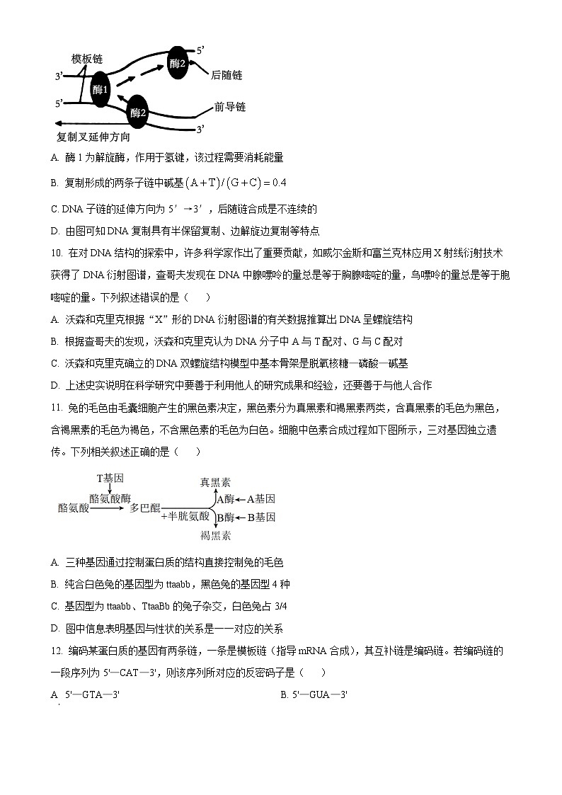 福建省龙岩市2023-2024学年高一下学期7月期末考试生物试题（Word版附解析）03