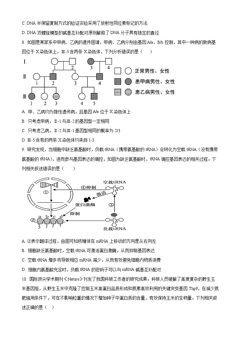 江西省重点中学协作体2023-2024学年高一下学期期末考试生物试题（Word版附解析）第3页