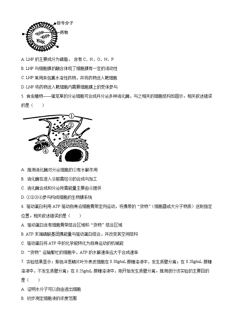 广东省东莞市2023-2024学年高二下学期7月期末考试生物试题（Word版附解析）第2页