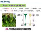 人教版（2019）高中生物必修一第三章第3节 细胞核的结构和功能-课件