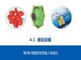 人教版（2019）高中生物必修一第四章第1节 被动运输-课件