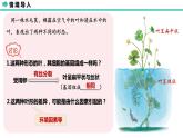 人教版（2019）高中生物必修二第四章第2节基因基因的表达和性状的关系-课件