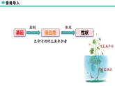 人教版（2019）高中生物必修二第四章第2节基因基因的表达和性状的关系-课件