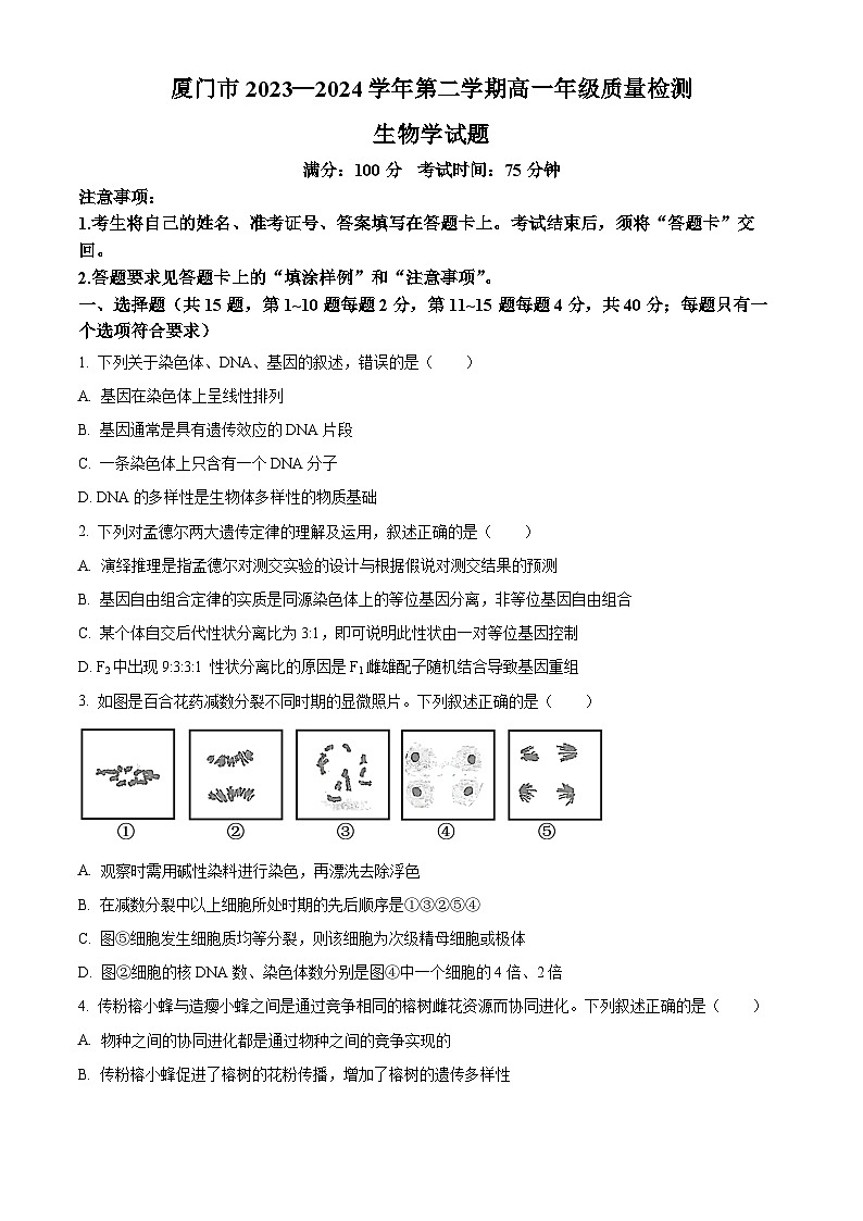 2024厦门高一下学期7月期末考试生物含解析01