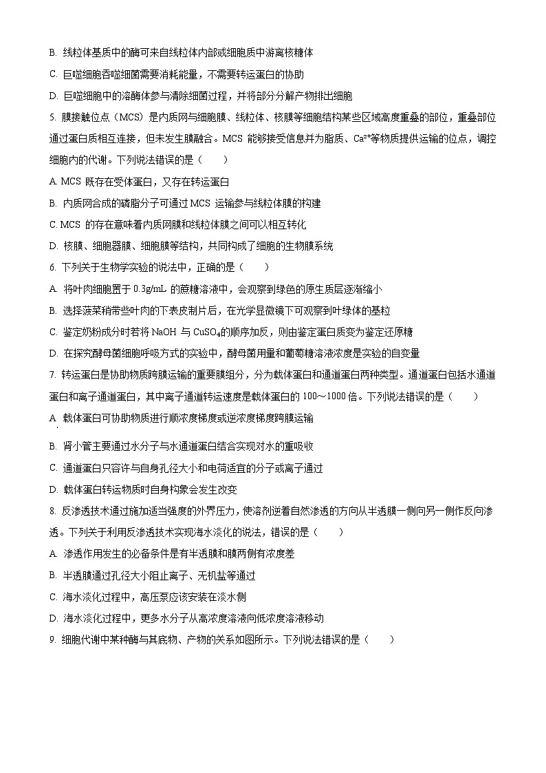 山东省烟台市2023-2024学年高二下学期7月期末考试 生物 Word版含解析02