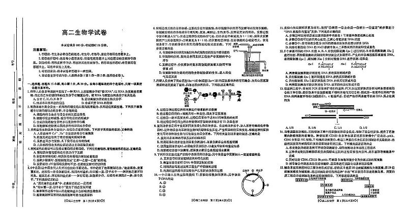 吉林省松原市2023—2024学年高二下学期期末测生物试卷01