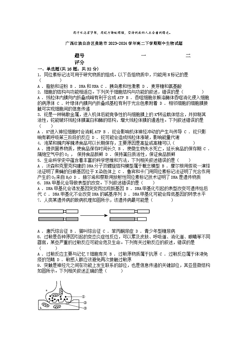 [生物][期中]广西壮族自治区贵港市2023-2024学年高二下学期期中生物试题01