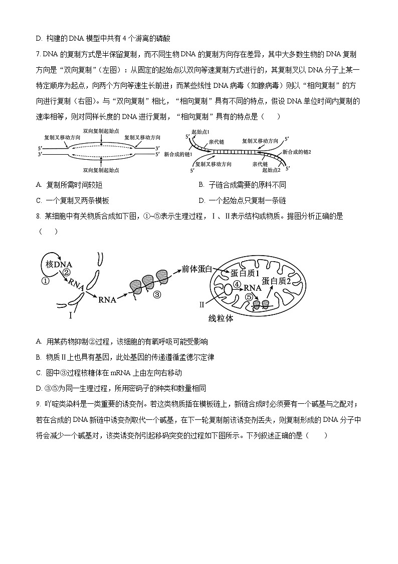 内蒙古集宁一中2023-2024学年高二下学期期末考试生物试题（原卷版）第3页