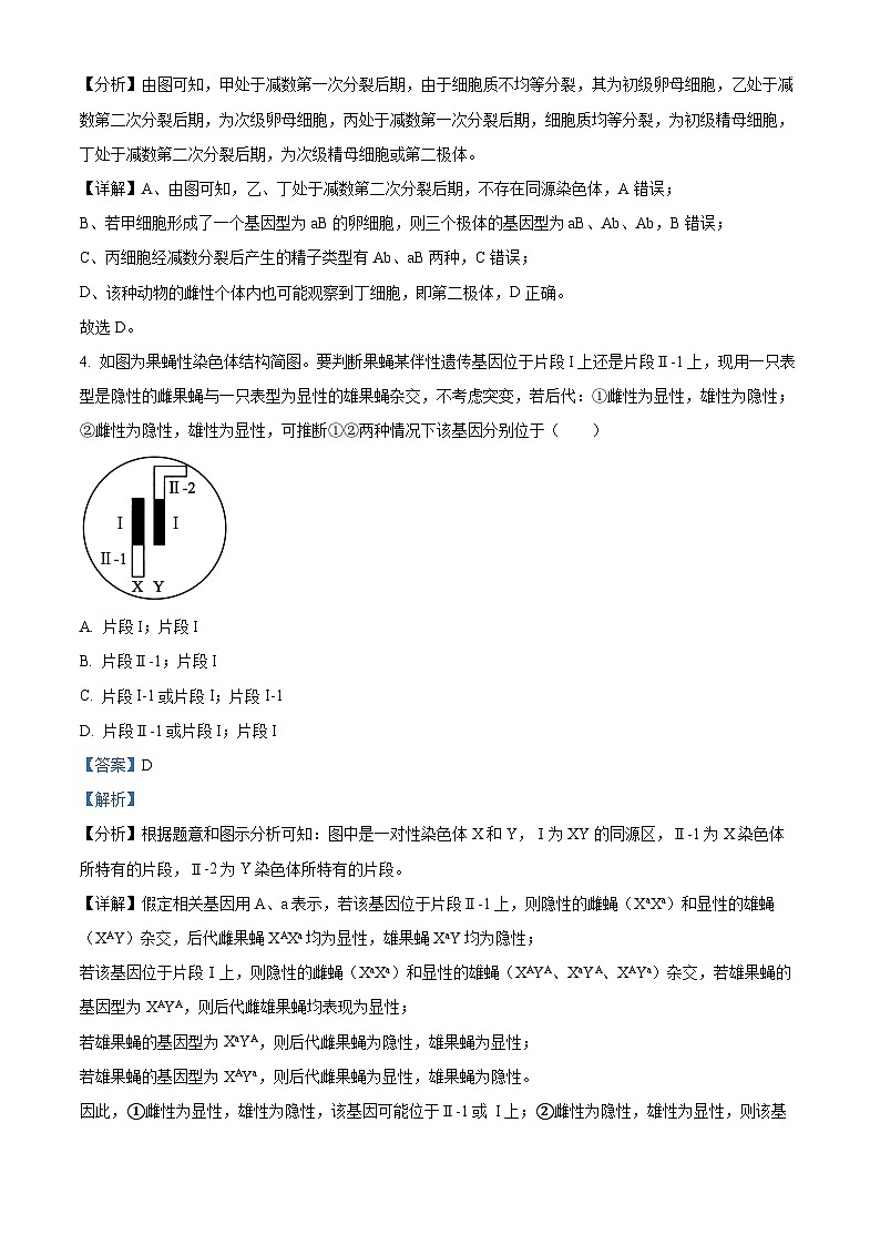 内蒙古集宁一中2023-2024学年高二下学期期末考试生物试题（解析版）第3页
