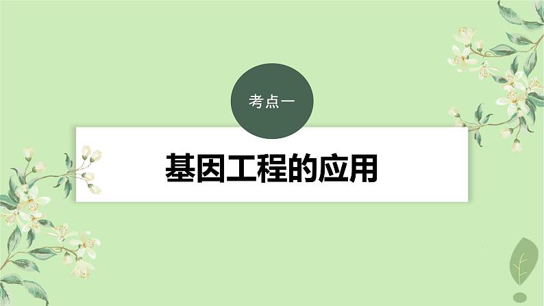 2024届高考生物一轮复习第十单元生物技术与工程第7课时基因工程的应用和蛋白质工程课件（苏教版）03