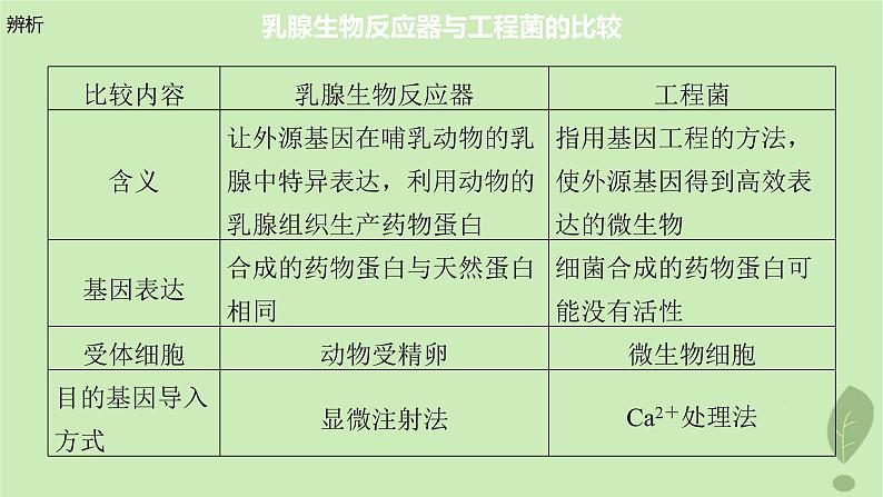 2024届高考生物一轮复习第十单元生物技术与工程第7课时基因工程的应用和蛋白质工程课件（苏教版）07