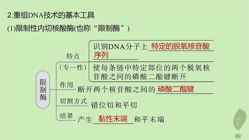 2024届高考生物一轮复习第十单元生物技术与工程第6课时基因工程的基本工具和基本操作程序课件（苏教版）第6页