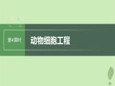 2024届高考生物一轮复习第十单元生物技术与工程第4课时动物细胞工程课件（苏教版）