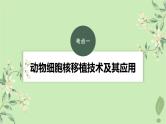 2024届高考生物一轮复习第十单元生物技术与工程第4课时动物细胞工程课件（苏教版）